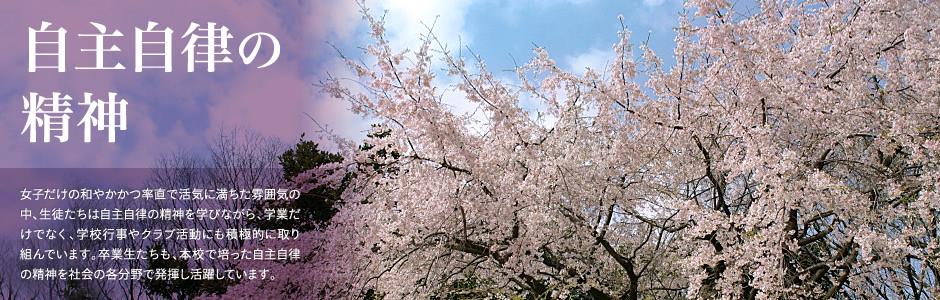 新葡的京集团3522vip